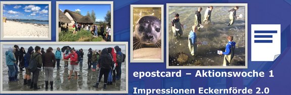 Foto_Aktionswoche_Eckernförde_2.0.jpg  