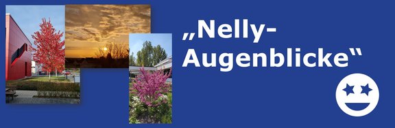 nelly_Augenblicke_Banner.jpg  